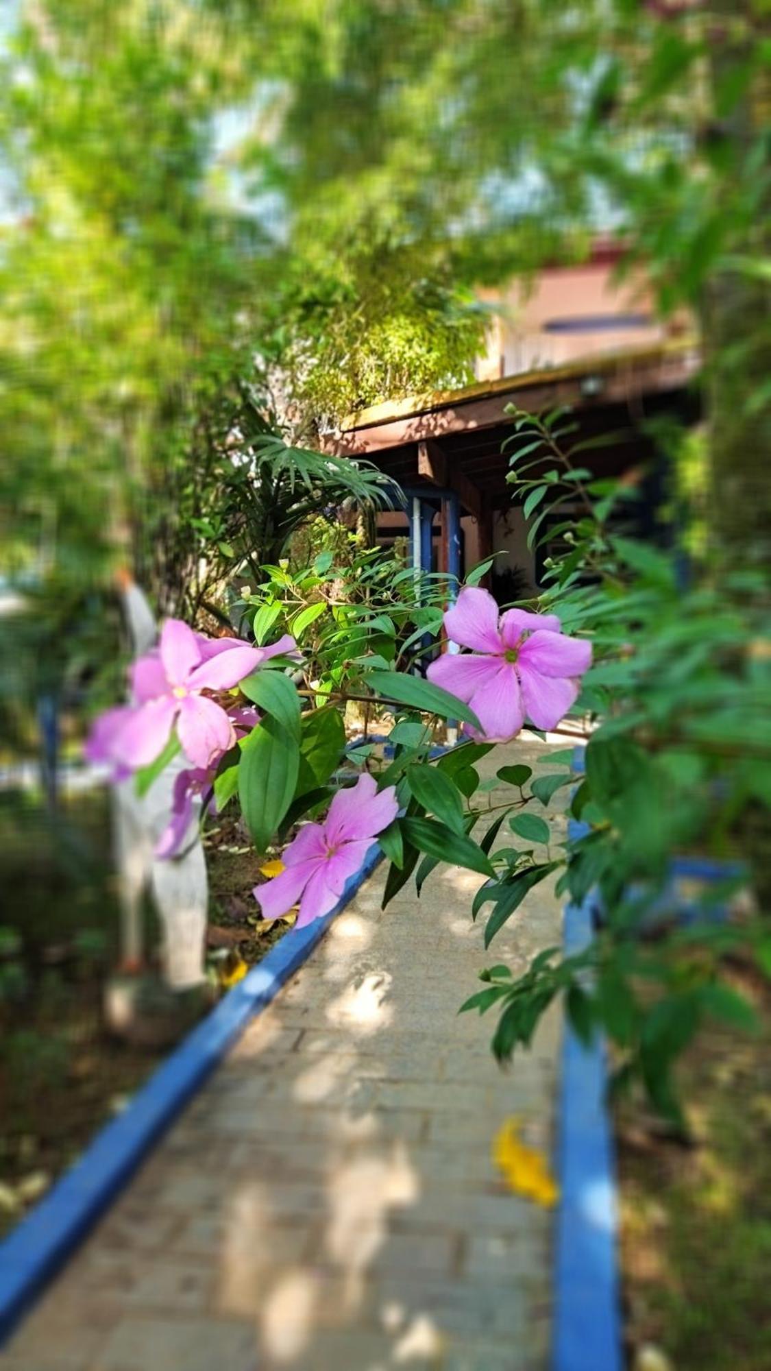 A Casa Do Sol Cibratel Pousada Itanhaém Esterno foto